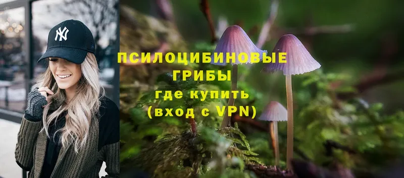 Галлюциногенные грибы Cubensis  дарнет шоп  Улан-Удэ 